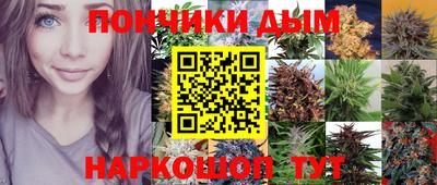 Альфа ПВП Лесосибирск