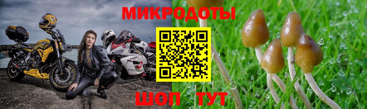 Галлюциногенные грибы Psilocybine cubensis  магазин  наркотиков  Гай  Вход с VPN 
